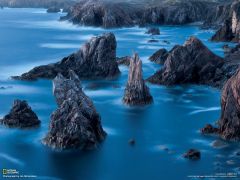Tapeta National Geographic 483.jpg